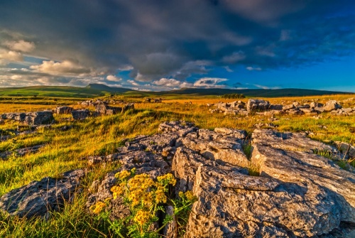 Limestone pavement at Winskill