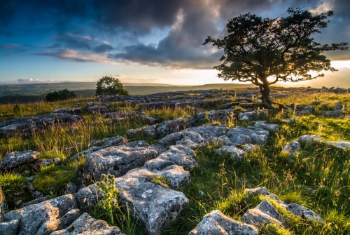 Limestone pavement at sunset