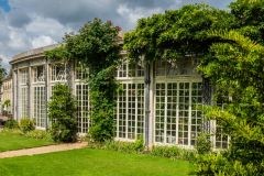 Woburn Abbey, The Camellia House