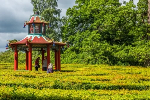 The Oriental pagoda in the Woburn Abbey maze