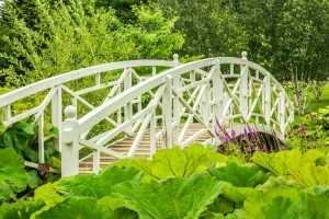 A Chinese bridge in the gardens