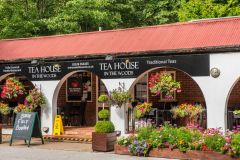The Tea House in the Woods