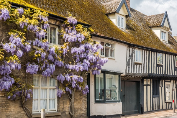 Timber-framed houses on The Street in Woolpit