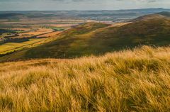 The view from Yeavering Bell