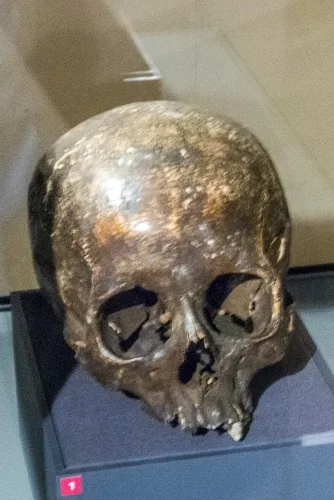 Skull of a woman slain in the 1190 Massacre of the Jews at York Castle