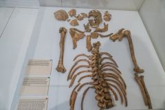 Skelton thought to be a Roman gladiator