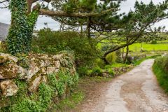 The lane to the South West Coast Path