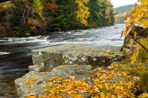 The River Dee at Balmoral