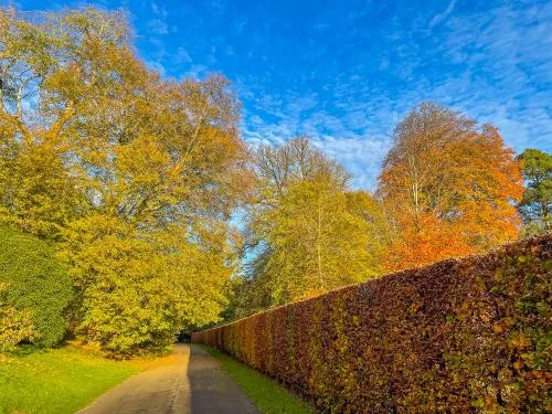 Autumn Colours on Peaches Walk