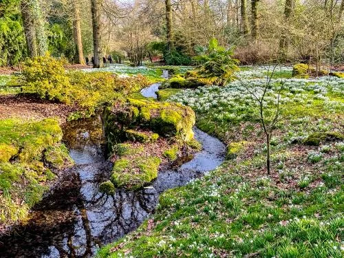 There is beauty at any season