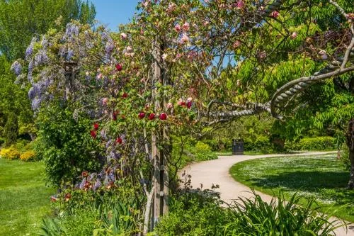 The pergola walk in spring