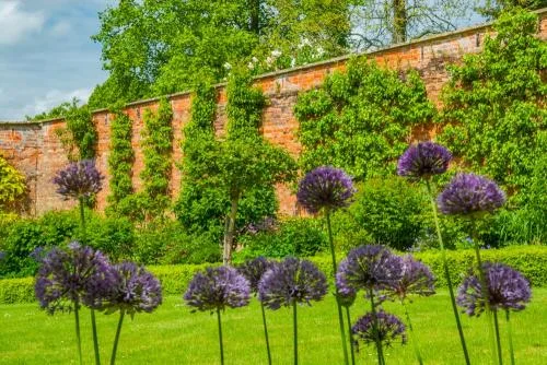 The walled garden