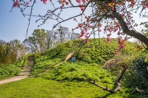 Cambridge Castle motte