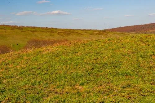 Earthwork banks define the enclosure