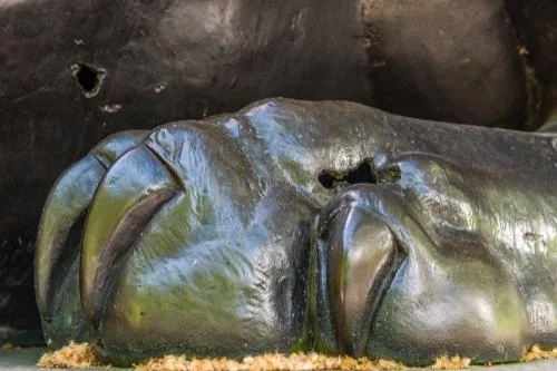 WWI bomb damage on the right-hand sphinx