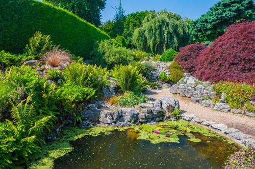 The Alpine rock garden