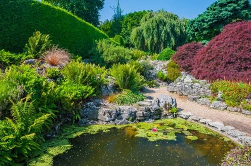 The Alpine rock garden