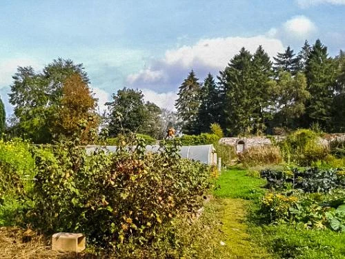 The walled garden at Ffrwdgrech (c) Rob Purvis