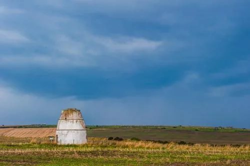 Findlater Dovecot