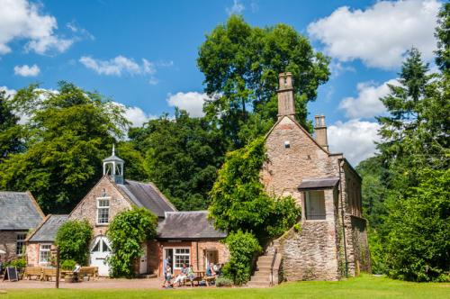 The remains of Fyne Court