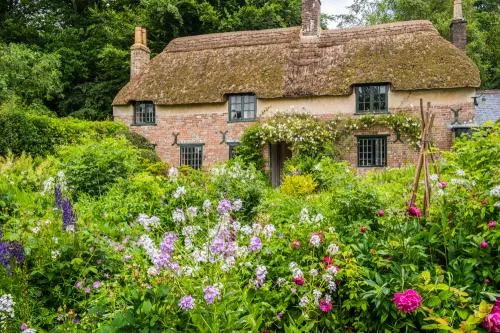 The cottage garden