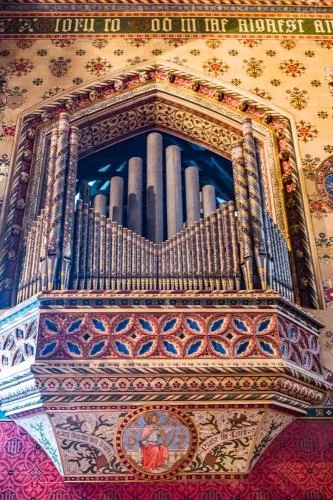 The organ