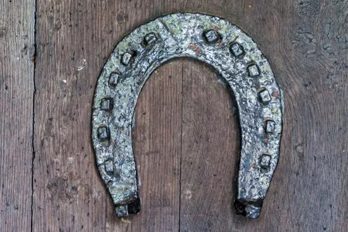 The 14th-century horseshoe