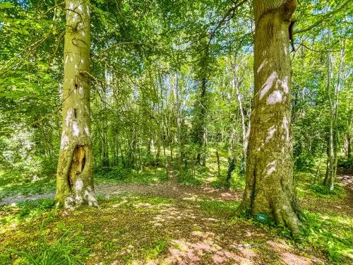 Atop the castle motte