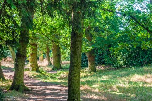 Lexden Earthworks