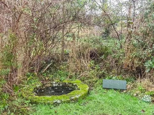 St Peter's holy well (c) Claire Rose