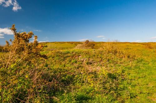 Looking along the burial mound