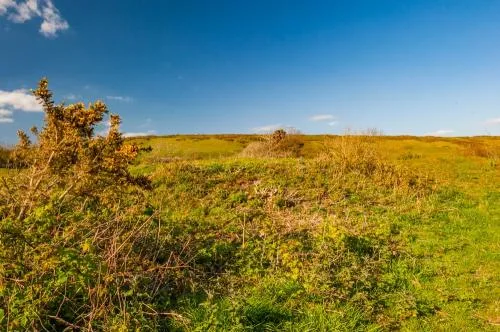 Looking along the burial mound