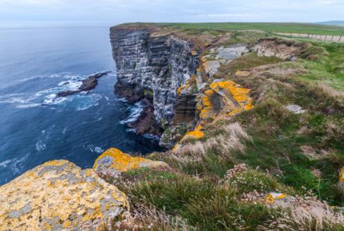 Marwick Head RSPB