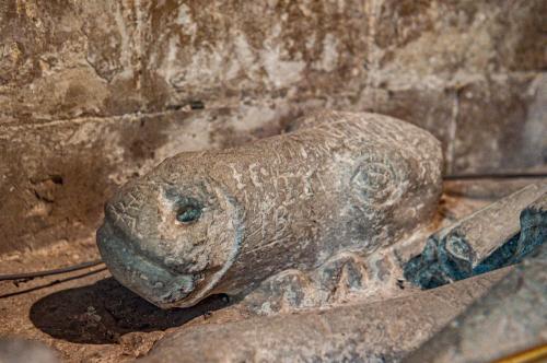 Grey Dolphin horse's head