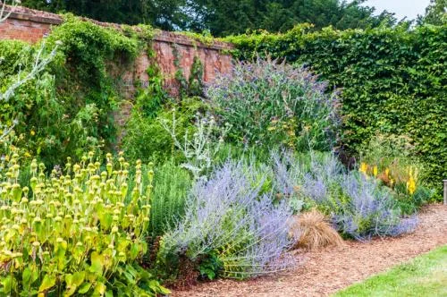 The Walled Garden