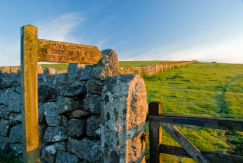 Footpath across the moor near Princetown