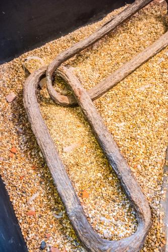 Links from the Portsmouth harbour chain boom