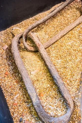 Links from the Portsmouth harbour chain boom