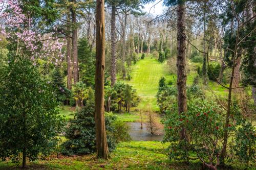 The Valley at Tregrehan Garden