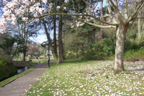 Trenance Garden (c) Stephen McKay