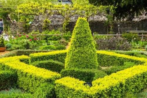 The Tudor knot garden