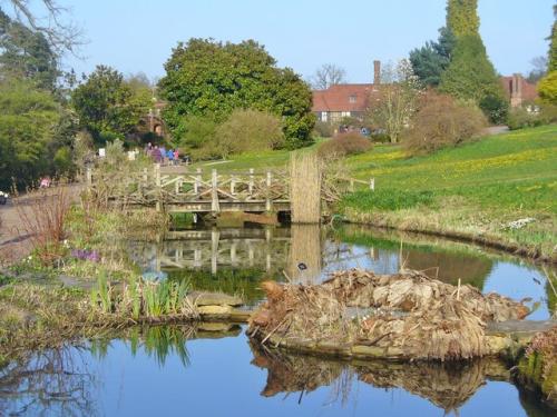Wisley Garden (c) Colin Smith