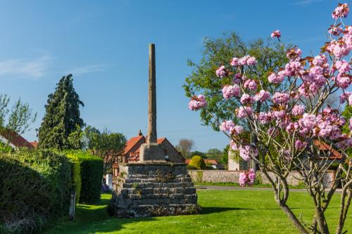 The market cross