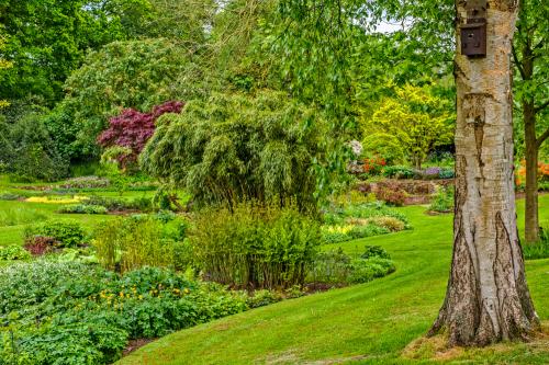 The Dell Garden