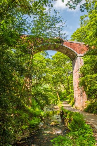 The Talyllyn railway viaduct at Dolgoch