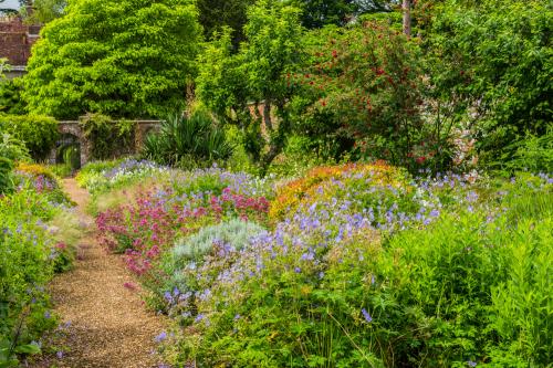 The walled garden in summer
