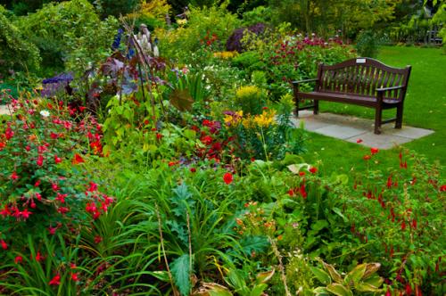 Summer flowers in the garden
