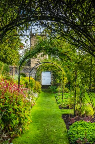 A shaded avenue in the garden
