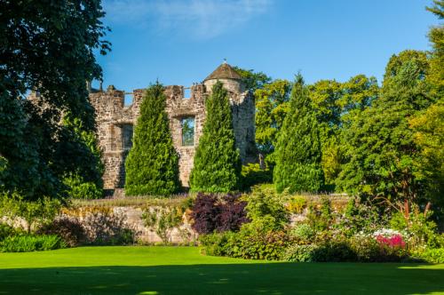 The castle walls from the garden