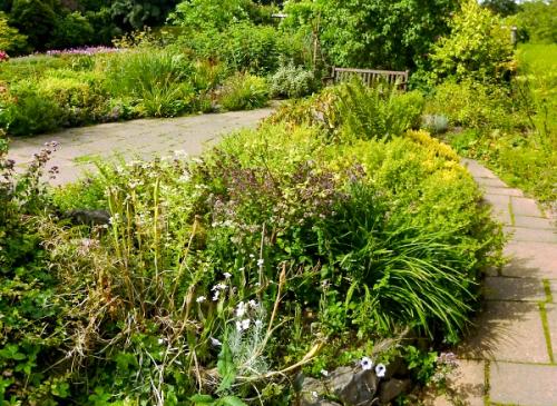 The 'Smelly Garden' (c) Lairich Rig
